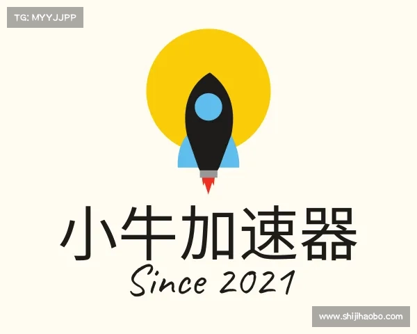 介绍小牛加速器